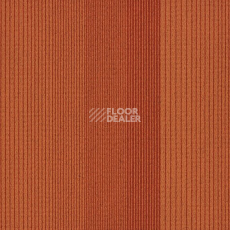 Ковровая плитка Interface Straightforward II 4268012 Pumpkin фото 1 | FLOORDEALER